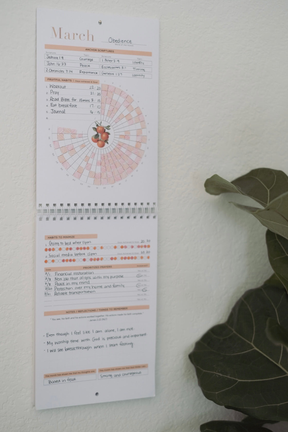 Discipled & Disciplined 12-Month Habit Tracker + Devotional